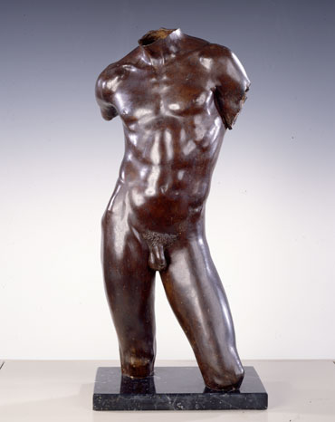 Male Torso